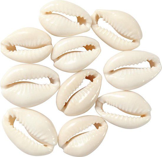 Creotime Kettingschelpen Wit Kunststof Unisex 2 Cm 12 Stuks