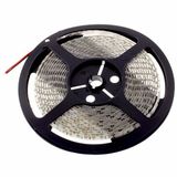 LED strip blauw 12V, 500cm, 120 LEDs/m (600 stk.), IP65