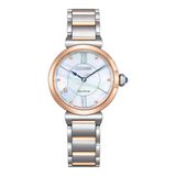 Citizen EM1074-82D Horloge - Staal - Zilverkleurig - Ø 29 mm