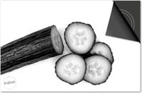 Dietrix Inductie Beschermer 81x52 - DELUXE - Groente en Fruit - Komkommer Zwart Wit