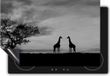 Chefcare Inductie Beschermer Giraffe Zonsondergang - Zwart Wit - 57,6x51,6 cm