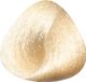 Toujours Trend Color 10.31 Extra Light Golden Ash Blonde
