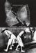 Mario Giacomelli. Faraway, So Close