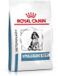 Royal Canin Veterinary Diet Hypoallergenic Puppy - Hondenvoer - 3.5 kg