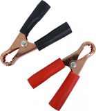 Carpoint Veloris Testclip 50A 2st Zwart Universeel