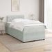 Maison Exclusive - Lit boxspring avec matelas gris clair 120 x 190 cm velours