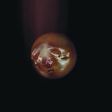 V2 Red Eye Poolblood - Mole (Coloured Vinyl)