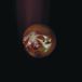 V2 Red Eye Poolblood - Mole (Coloured Vinyl)