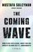 The C.H. Beck The Coming Wave Paperback