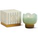 Paddywax Tulip Scented Candles 155 gr