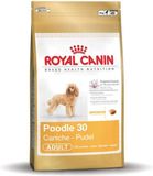Royal Canin Poedel Volwassen - 500g