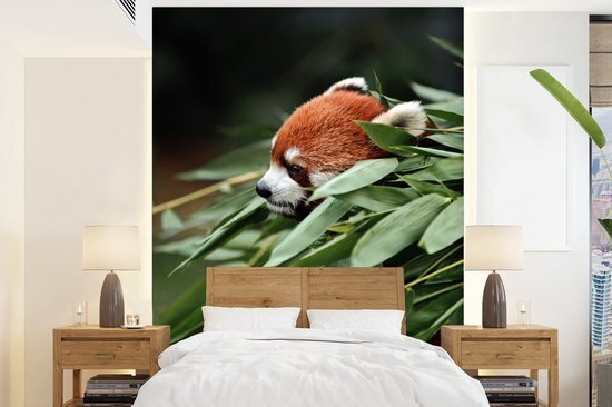 Nr1Wallpaper Behang - Fotobehang Panda - Rood - Plant - Breedte 190 cm x hoogte 260 cm