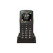 Beafon SL260 LTE Zwart, Zilver Basistelefoon