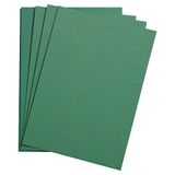 Clairefontaine 37780C Riem Etival Color Papier - 250 Vellen Donkergroen Tekenpapier met Korrel - 50x65 cm 160g