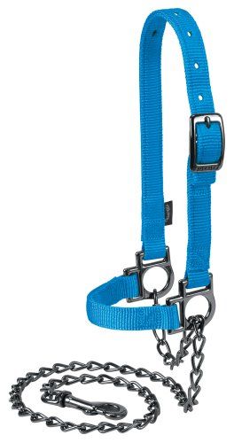 Weaver Leather Vee Nylon Verstelbare Schaap Halter met Ketting Lead, Blauw