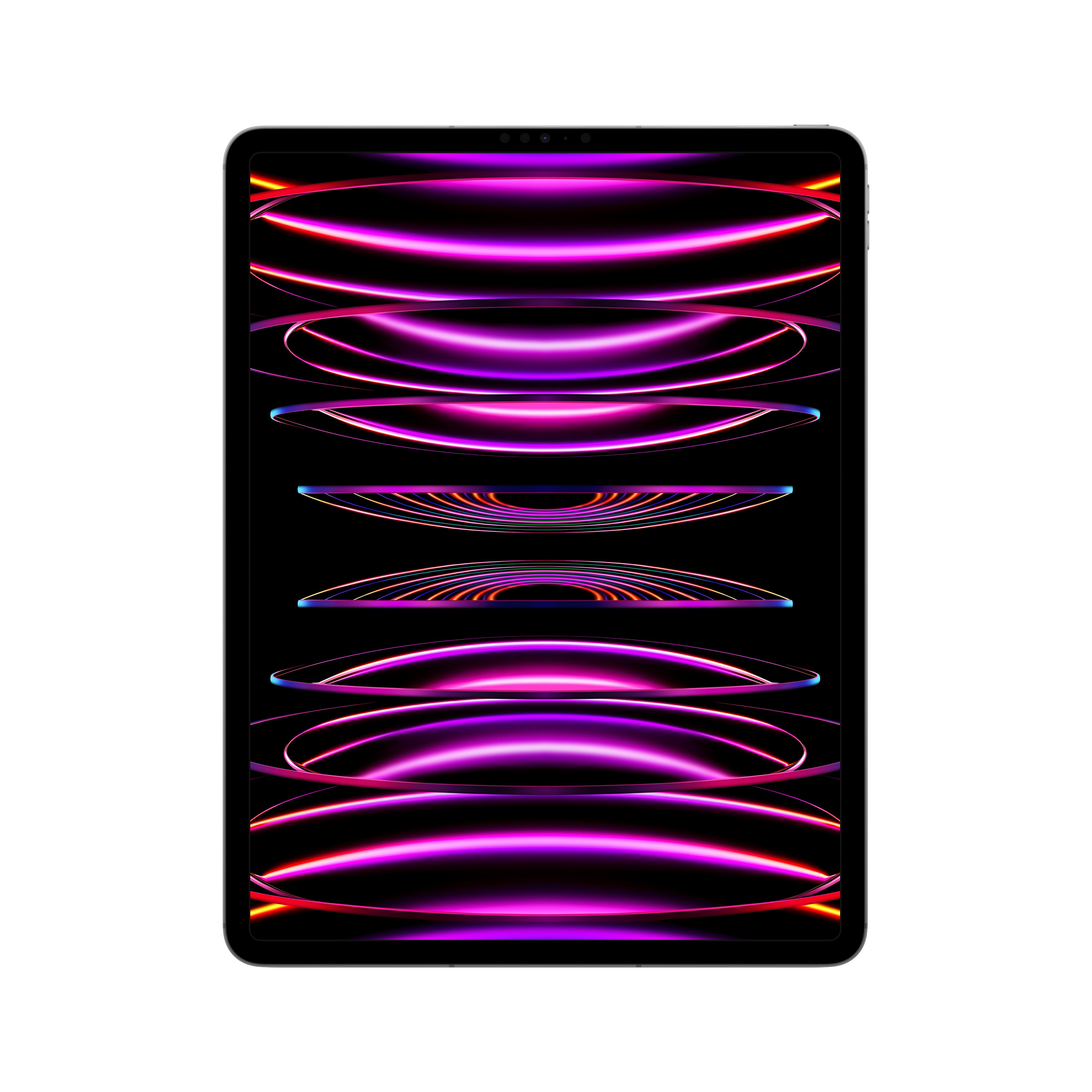 Apple iPad Pro / WiFi + 5G / 1TB / Spacegrijs