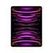 Apple iPad Pro / WiFi 6E / 256GB / Grijs