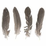 Merkloos Decoratie - veren - Fazant - set van 12x stuks - Sierveren - 22cm