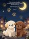 The Eyes of a Brother Eva and Rémi’s Long Way Home: shadow search