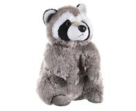 Wild Republic 10875 Cuddlekins Wasbeer Pluche Knuffeldier 20 cm