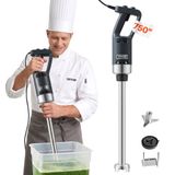 VEVOR Mixeur Plongeant 750 W