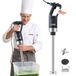 VEVOR Mixeur Plongeant 750 W