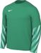 Nike Team Sweater Heren Dri-FIT Park V Stadium Groen - Maat XL