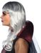 Boland perruque d'Halloween pour femmes - gris - perruque de sorcière - fantaisie - carnaval - cheveux longs