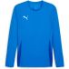 PUMA Unisex Teamgoal Ls Jersey Voetbalshirt
