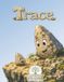 Trace: The Story of a Little Stone That Learned to Leave Its Mark Paperback
