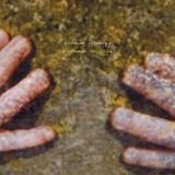 Konkurrent Richard Youngs Autumn Response (LP)