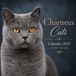 Chartreux Cats Calendar 2027