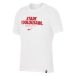 Stade Toulousain T-shirt graphique 2025/26