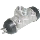 Delphi LW62074 Remcilinder