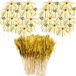 Feux d'artifice Piques à cocktail - Piques de fête - Toppers à gâteau - Sandwich - Cure-dents pour décoration de gâteau - Fournitures de fête
