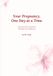 Your Pregnancy, One Day at a Time: A Day-by-Day Companion Through Your Pregnancy