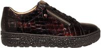 Hartjes 162.1401 Phil Sneakers - Lakleer - Dames - Rood - Maat 42,5