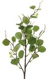 Bellatio Design Kunsttak / kunstbloem Eucalyptus - 92 cm - groen - boeket opvulling bladgroen