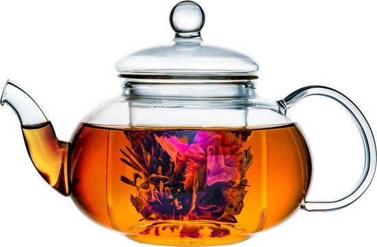 Bredemeijer Verona Theepot - 0.5L - Enkelwandig Glas - Transparant