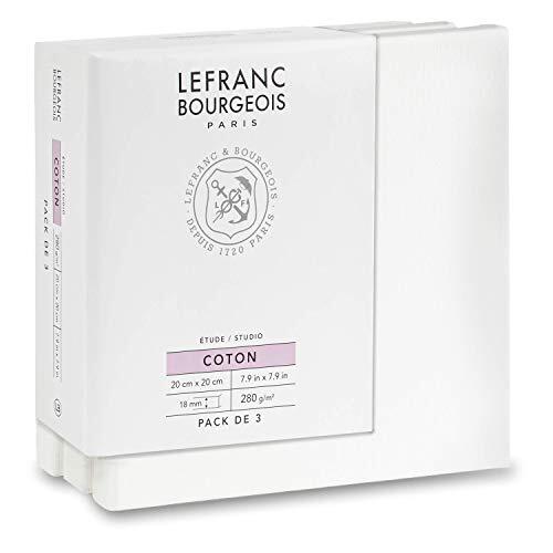 Lefranc & Bourgeois 301350 stabiel spieraam van sparrenhout, wit voorgegrond canvas voor acrylverf en olieverf, 100% katoen, 20 x 20 cm