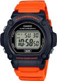 Casio Collection Polshorloge Goud