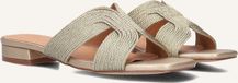 AYANA 0677-1 Slippers - Dames - Goud - Maat 38