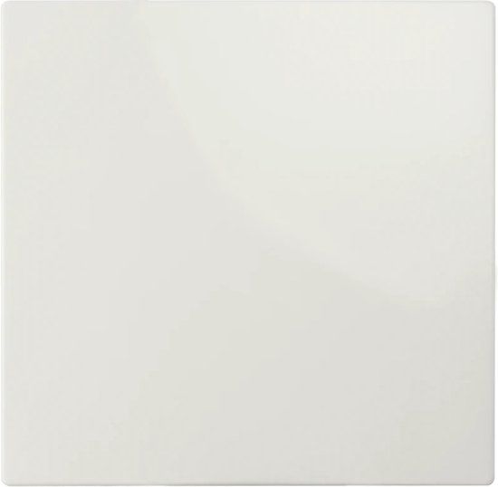 ION Industries Bedieningswip Wisselschakelaar - E1 Alpin Wit Glanzend