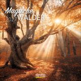 Magische Wälder 2027: Broschürenkalender mit Ferienterminen. Format: 30 x 30 cm