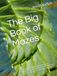 The Big Book of Mazes