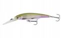 Savage Gear Gravity Twitch DR kunstaas, levensecht roofvisaas met Tungsten Long-Cast systeem, razendsnelle actie, ingebouwde ratel, baars, snoek, forel en snoekbaars, glanzende firetiger, 11.5cm, 28g