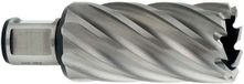 Metabo Boorkroon, diameter 25 mm 626534000