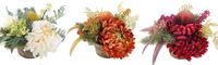 DKD Home Decor Decoratieve plant Polyethyleen Fuchsia Wit Ijzer (32 x 32 x 32 cm)