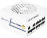 Silverstone Triton 1000Rz