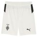 PUMA Borussia Mönchengladbach short pour Hommes, Noir/Blanc, Taille XS